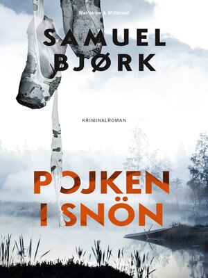 cover image of Pojken i snön